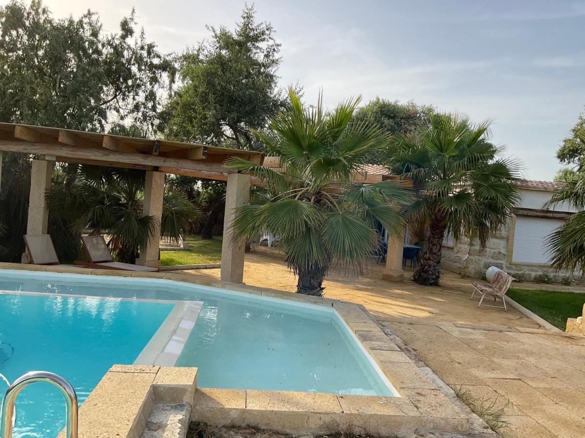 Mazet Du Pecheur Villa Saint-Laurent-dʼAigouze Dış mekan fotoğraf